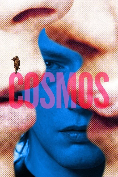 Cosmos poster