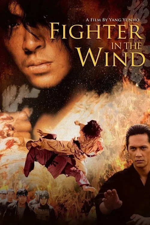 Fighter In The Wind poster