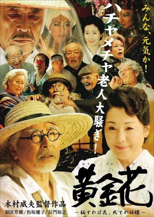 Hidden poster