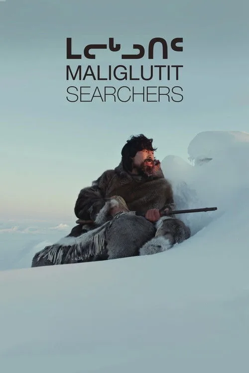 Searchers poster
