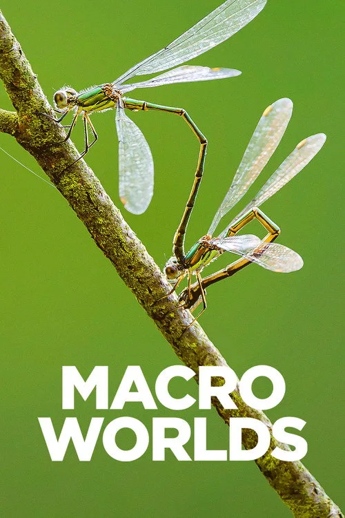 Macro Worlds poster