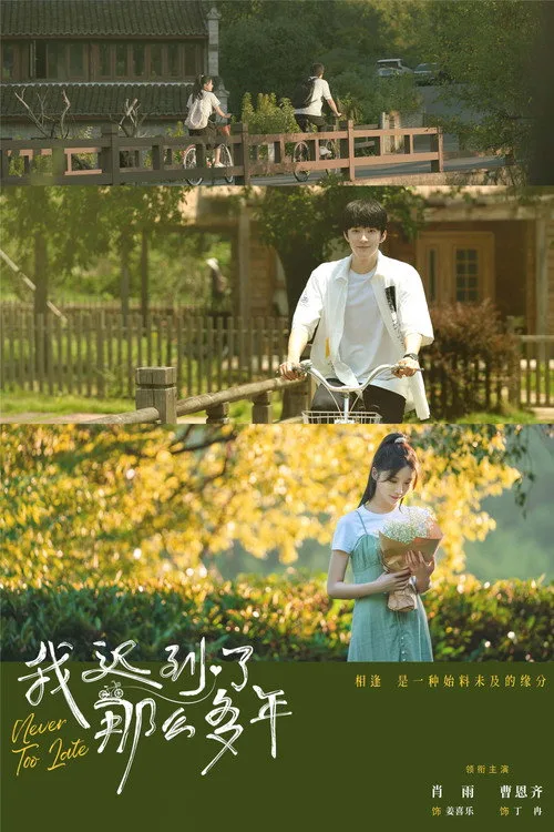 Never Too Late poster